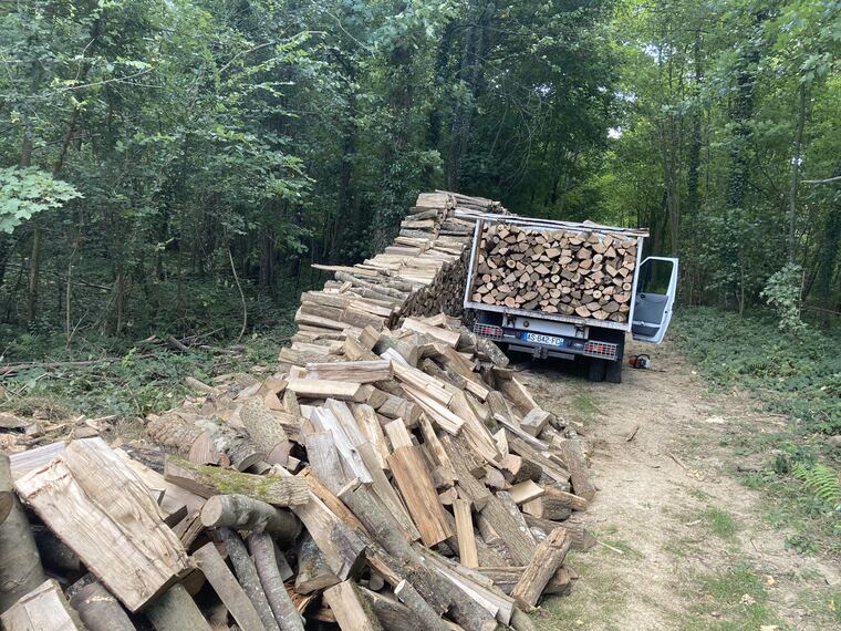 Chargement du camion après un chantier de coupe et d'élagage en forêt