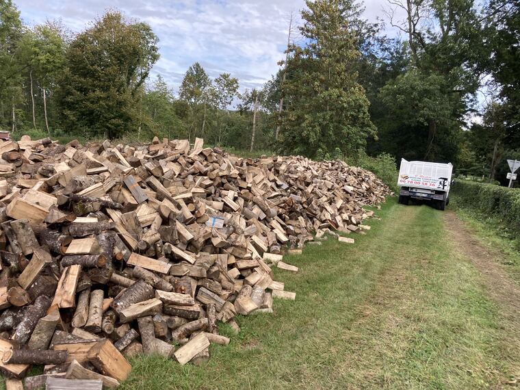 Tas de bois de chauffage et camion benne de livraison