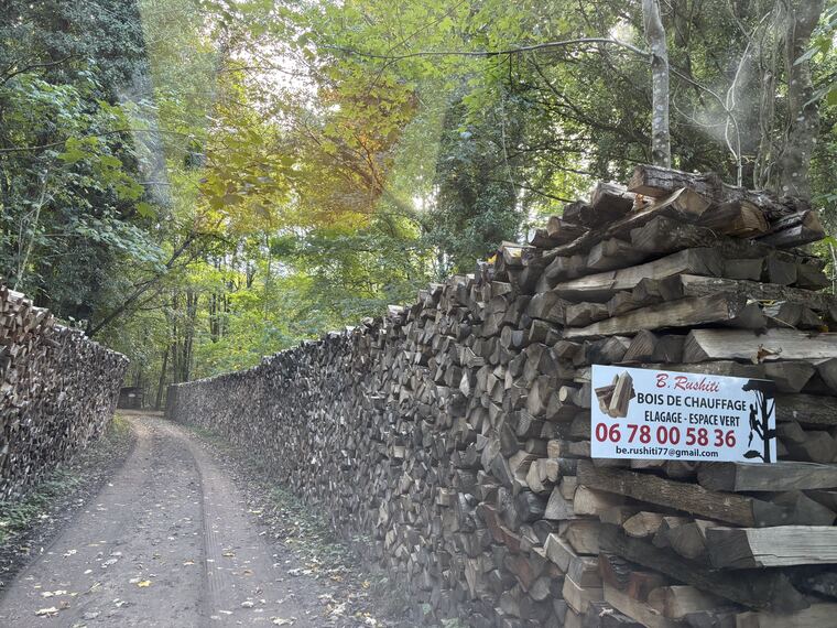 Stères de bois de chauffage empilés le long d'un chemin forestier, panneau B Rushiti